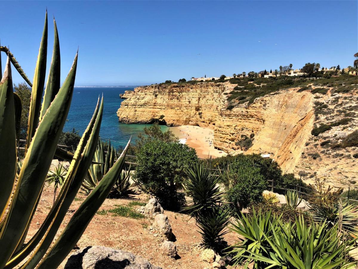 Apartment Maeva Lagoa (Algarve)